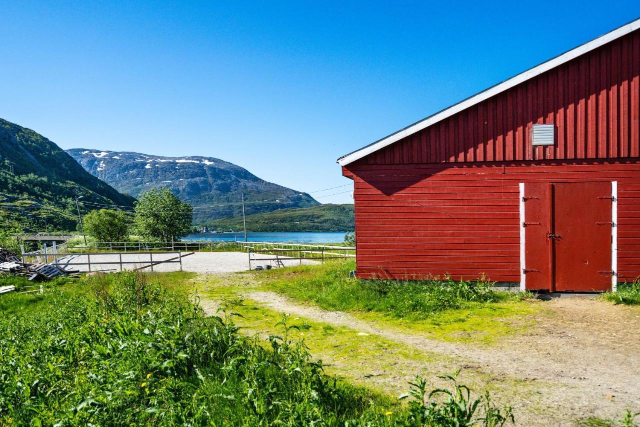 Storjord Farmstay Ranchhouse Kvaloya Ngoại thất bức ảnh