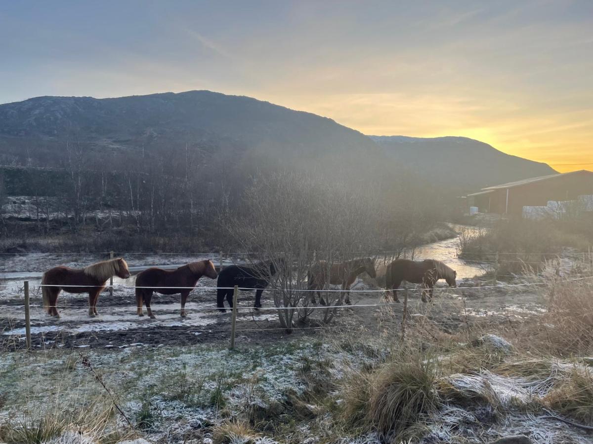 Storjord Farmstay Ranchhouse Kvaloya Ngoại thất bức ảnh